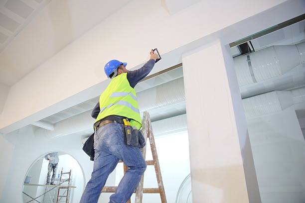 Best Drywall Sanding and Smoothing  in South Chicago Heights, IL